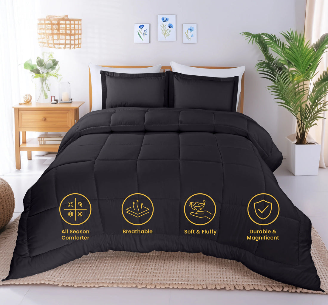 Premium All-Season Comforter Set (3-Piece)